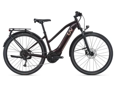 Amiti E+ 2